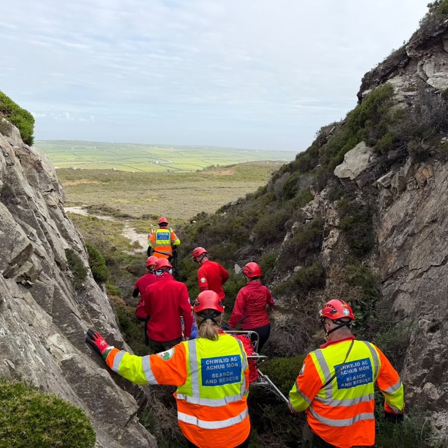 HH training extraction sqr